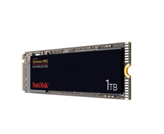 Точка ПК Твердотельный накопитель SanDisk 1000 GB SDSSDXPM2-1T00-G25