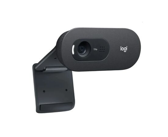 Точка ПК Веб-камера Logitech HD Webcam C505, черный, изображение 3
