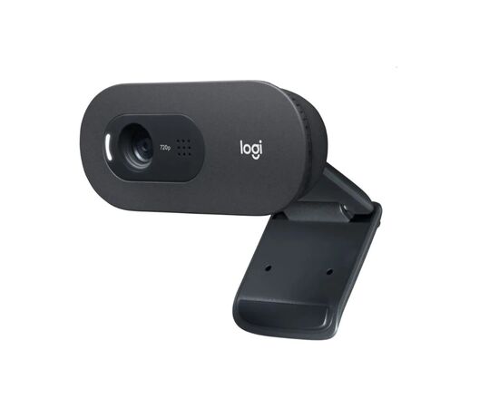 Точка ПК Веб-камера Logitech HD Webcam C505, черный, изображение 2