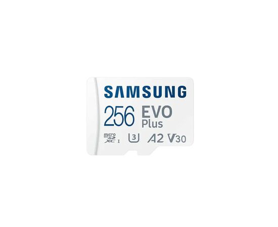 Точка ПК Карта памяти Samsung EVO Plus 256GB MB-MC256KA/RU