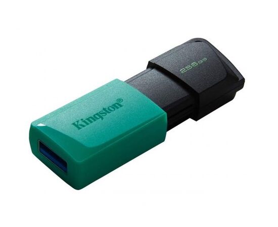 Точка ПК USB накопитель Kingston DataTraveler Exodia M 256 ГБ USB 3.2 Gen 1 DTXM/256GB