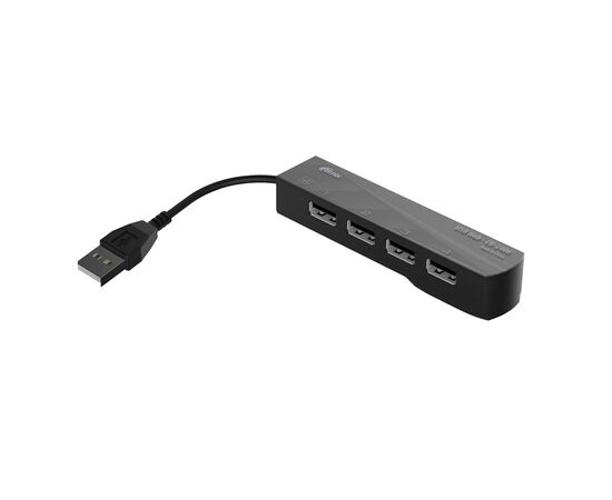 Точка ПК Разветвитель USB Ritmix CR-2406 Black